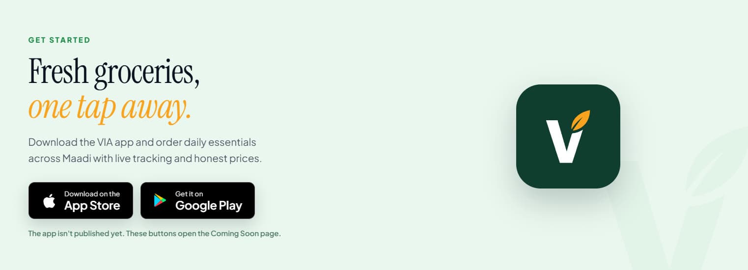 VIA's website: “Fresh groceries, one tap away”, with App Store and Google Play buttons beside the VIA app icon.